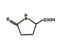 L-pyroglutamic Acid