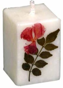 Floral Cadels - Ls 08