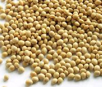 Soya Seed