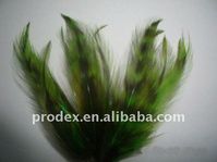 Grizzly Roster Grizzly Roster