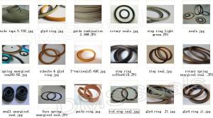 Oil Seal