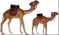 Leather Camels