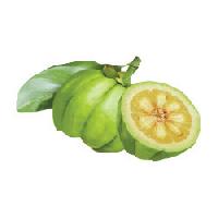 Garcinia Cambogia Dry Extract