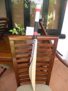 cricket bat