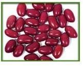 Small Red Kidney Beans
