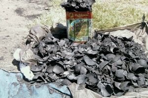 100% Natural Coconut Shell Charcoal