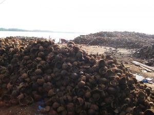 Coconut Shell Charcoal Available For Sale