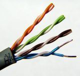 Utp Cat5e LAN Cable
