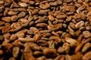 cocoa beans