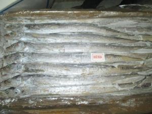 frozen fish frozen fish