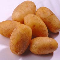 fresh patato