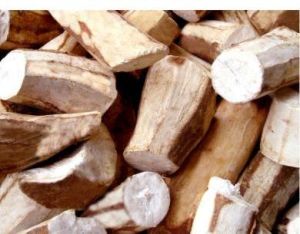 Tapioca Casava Chips