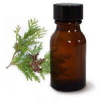 cedar leaf oil