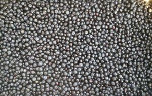 Frozen Blueberries