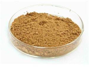 Epimedium Extract