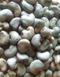 raw cashew nut shell