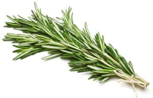 Rosemary