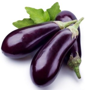 Fresh Eggplant Fresh Eggplant