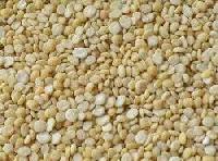 chana dal