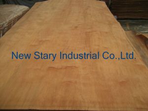 Rotary Cut Dillenia Veneer