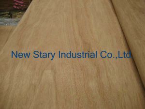 Rotary Cut Red Canarium Veneer