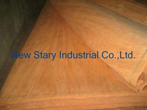 Rotary Cut Taun Veneer