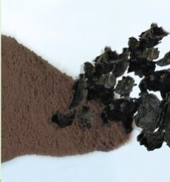 Black Fungus Mushroom Products