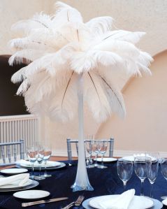 Ostrich Wings Ostrich Wings