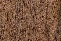 Wood Veneer