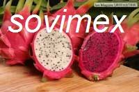 dragon fruit
