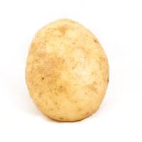 Atlantic Potato
