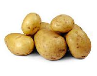 Kufri Lauvkar Potato