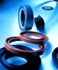 Oil Seals