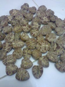 Betelnut