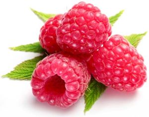 Popular Raspberry Ketone 99.0%