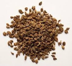 Carom Seeds