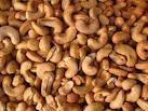 Dried Cashew Nuts