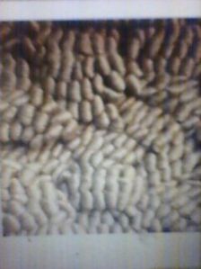 Supplying Of Raw Jute From Bangladesh