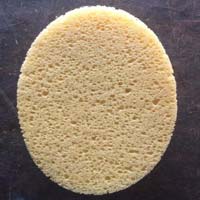 Imported Oval Sponge