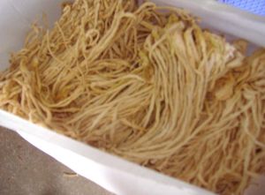 Dried Radish Dried Radish