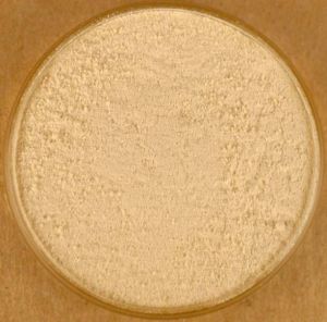 garlic powder, Packaging Type : brown