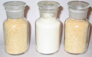 Fresh, Organic & Preserved Vegetables