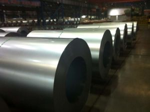 Galvanized Steel