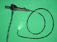 Endoscope