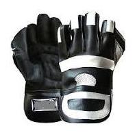 Cricket Wicket Keeping Gloves