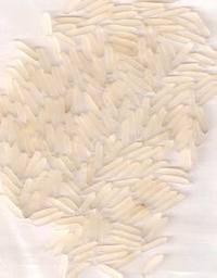 basmati rice basmati rice