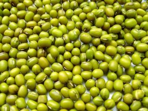 Green Mung Bean Green Mung Bean