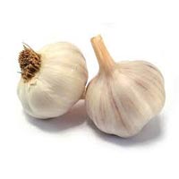 Fresh Garlic Bulb