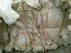 LDPE AGRIGREENHOUSES FILM SCRAPS