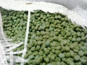 PP Plastic Recycled Granules